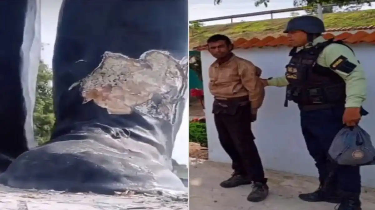 Un hombre fue detenido por arremeter con un machete contra un monumento del Dr José Gregorio Hernández (VIDEO)
