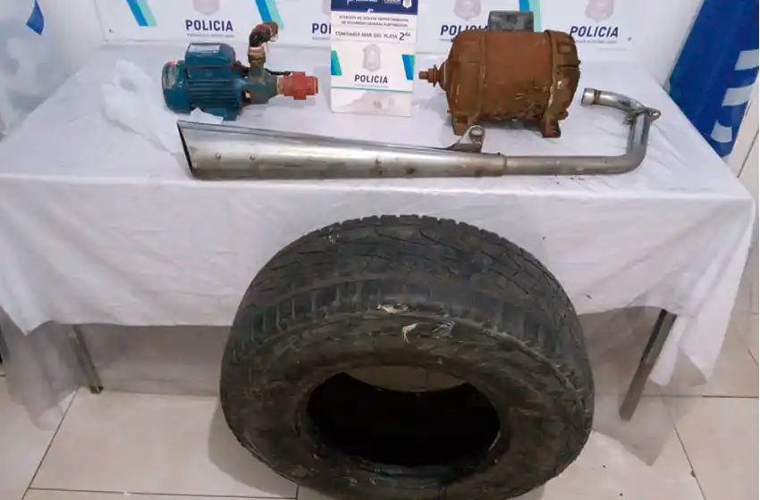 Saltó desde un baldío y robó una bomba de agua y una cubierta de camioneta usada