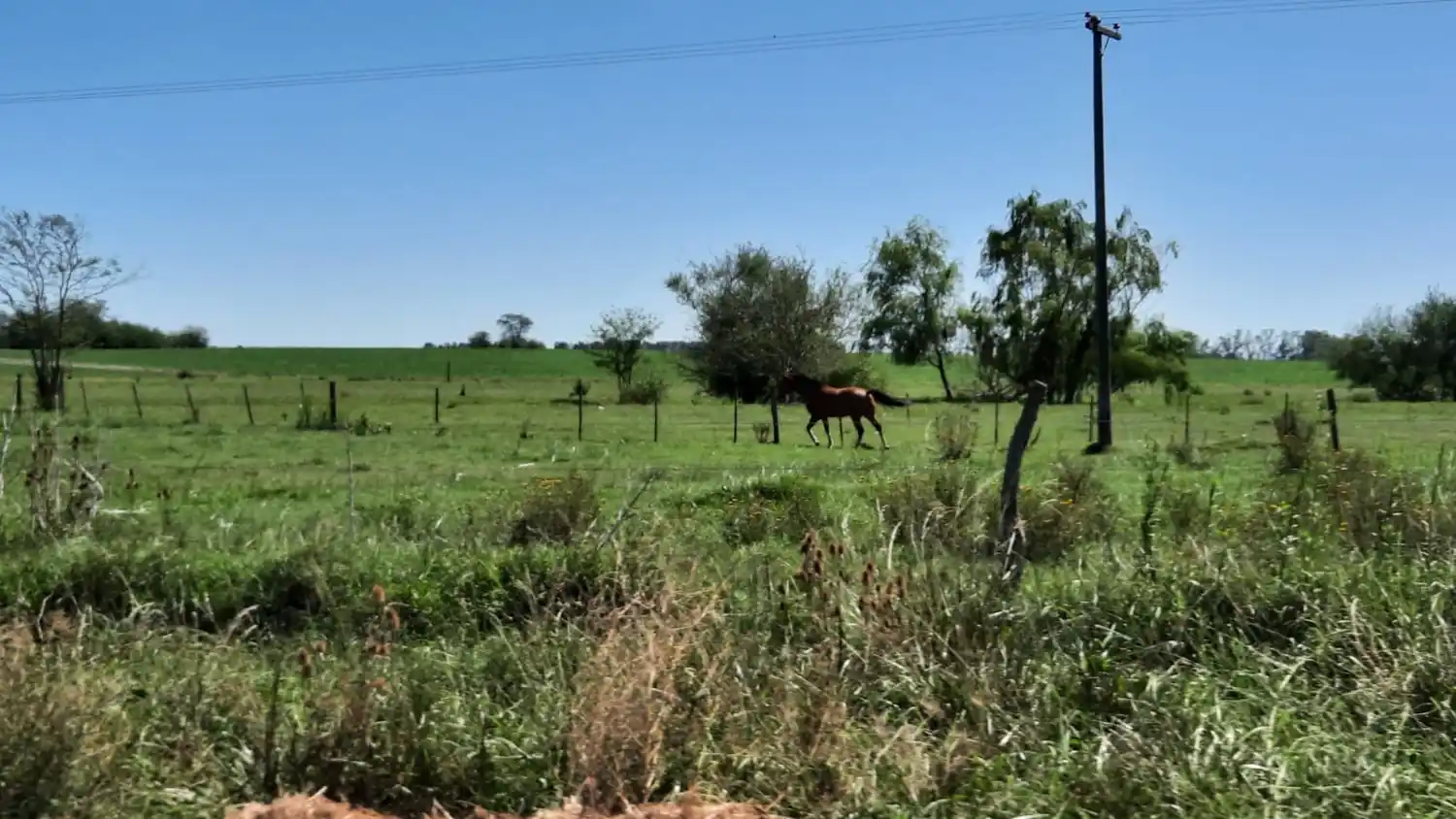 Inseguridad rural: Paolini recibe a vecinos para dialogar sobre la problemática