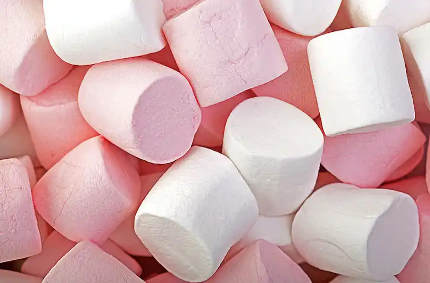 El test del malvavisco