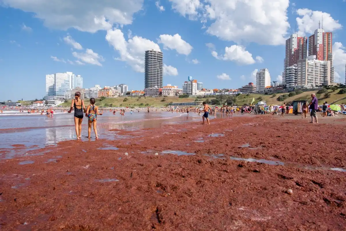 FENÓMENO NATURAL: Algas tiñen de rojo playas de la costa atlántica argentina