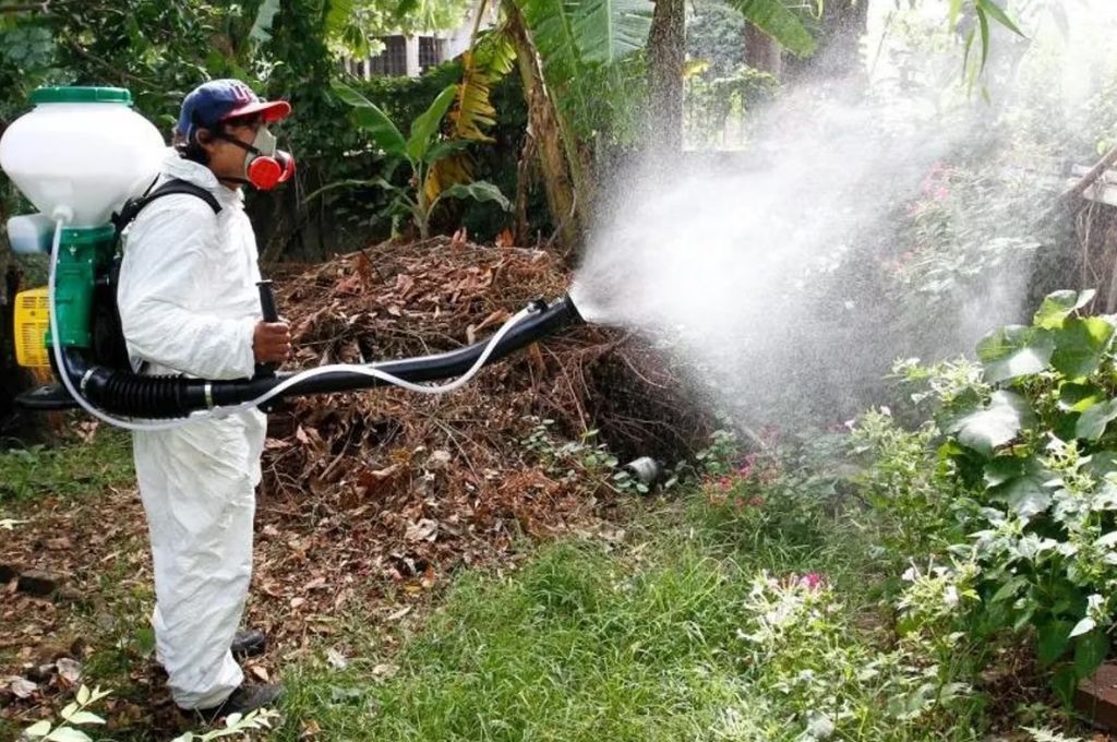 Tucumán: se detectaron siete casos de dengue en la ciudad de Lules