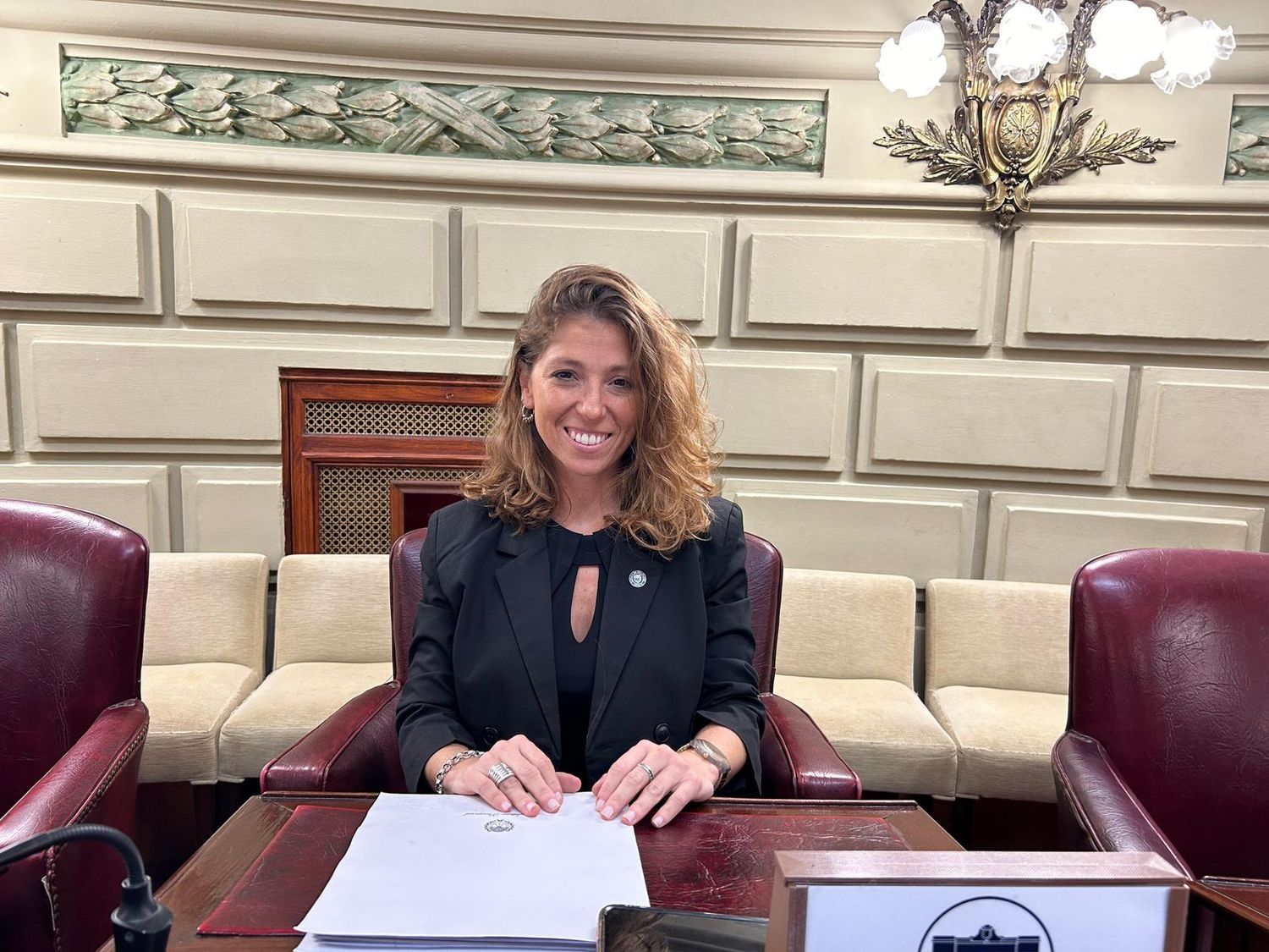 Sofía Galnares, diputada provincial oriunda de Venado Tuerto.