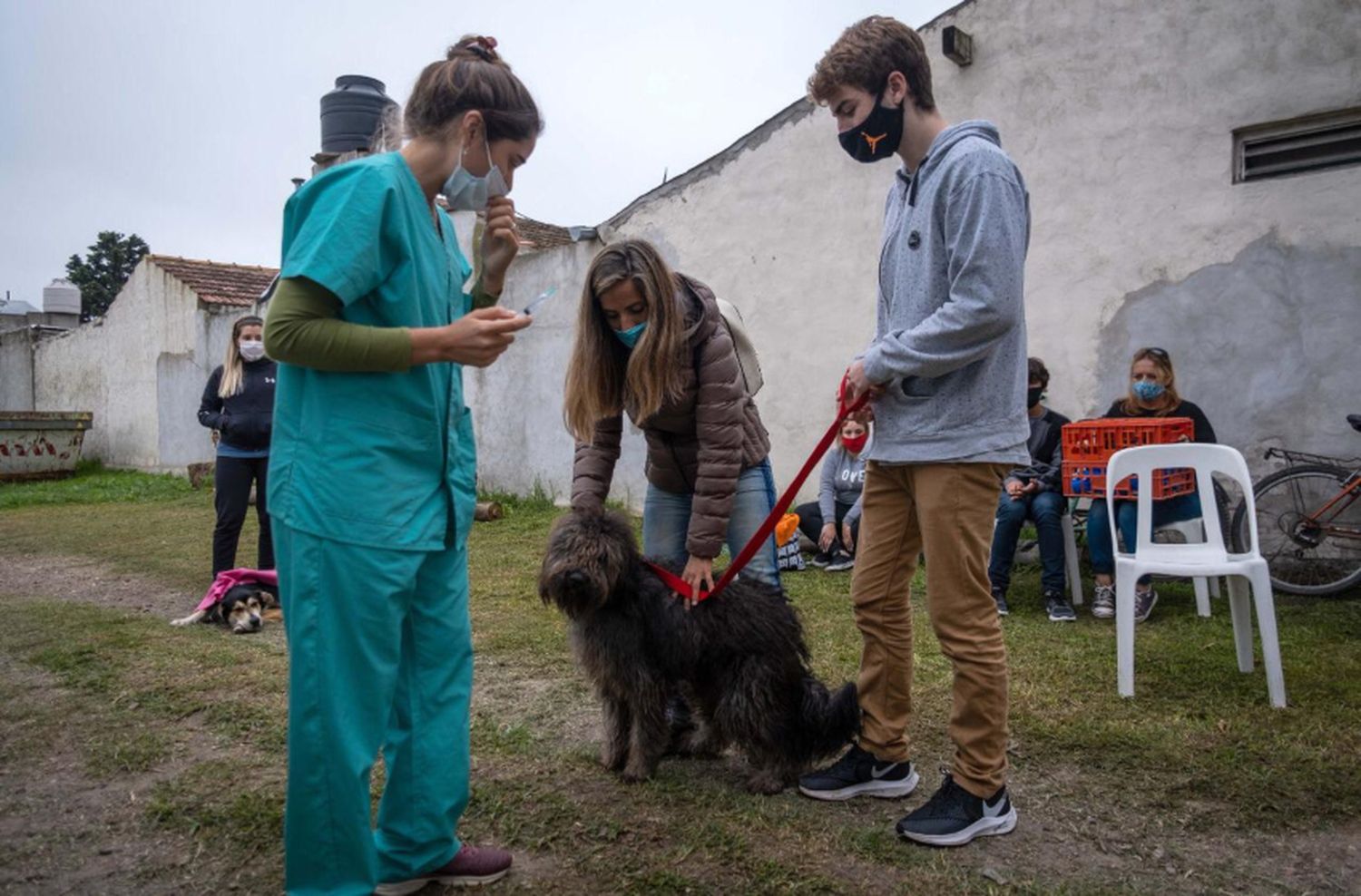 El quirófano móvil para animales se muda a Gloria de La Peregrina