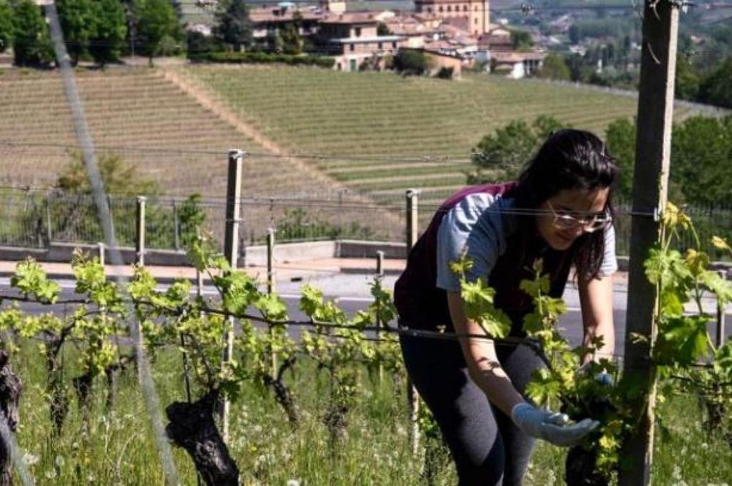 Italia: advierten que unas 100.000 granjas podrían cerrar a causa de la guerra en Ucrania