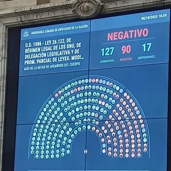 A pesar de haber sido votado por la mayoría, el proyecto que regula los DNU volvió al Senado: los motivos