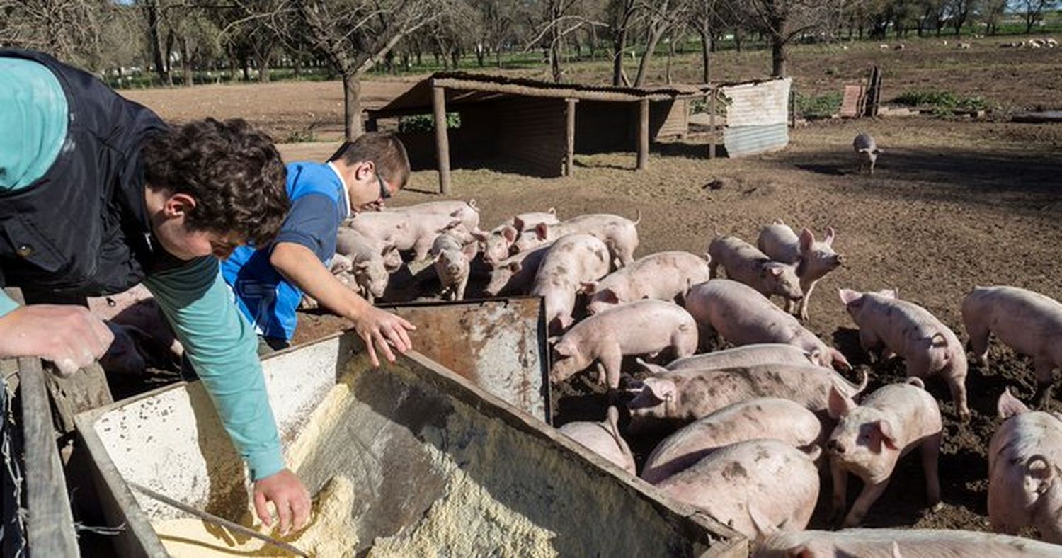 Un colegio agropecuario no puede dictar clases porque no le aprobaron los protocolos