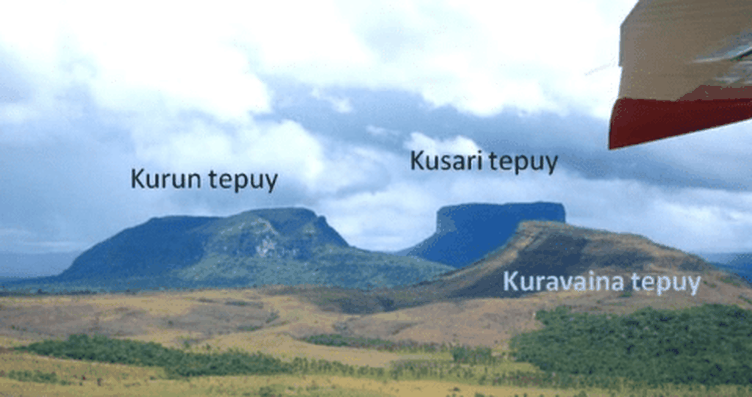 Ubicación del Tepuy que investigará la fiscalía. Foto Twitter