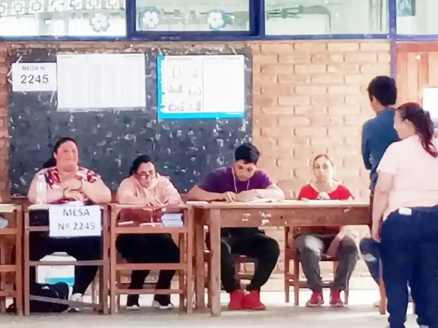 Una Presidenta de mesa fue reemplazada porque no sabía leer ni escribir