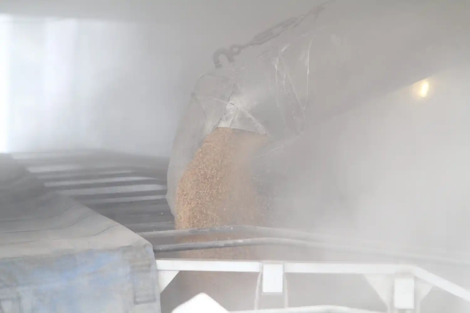 Comienza a cobrar intensidad el ingreso de soja a los puertos