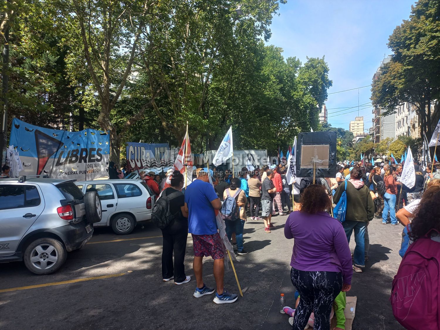 Presencia de menores en las manifestaciones de Mar del Plata: "Nadie se preocupa"