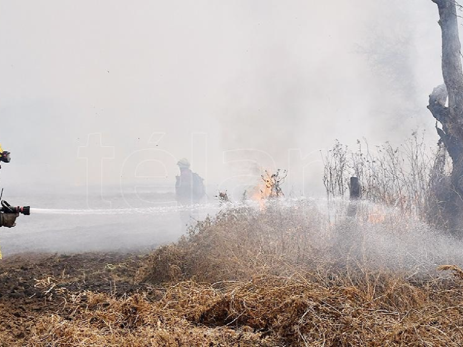 Con 10 aviones hidrantes y 300 bomberos combaten dos incendios forestales