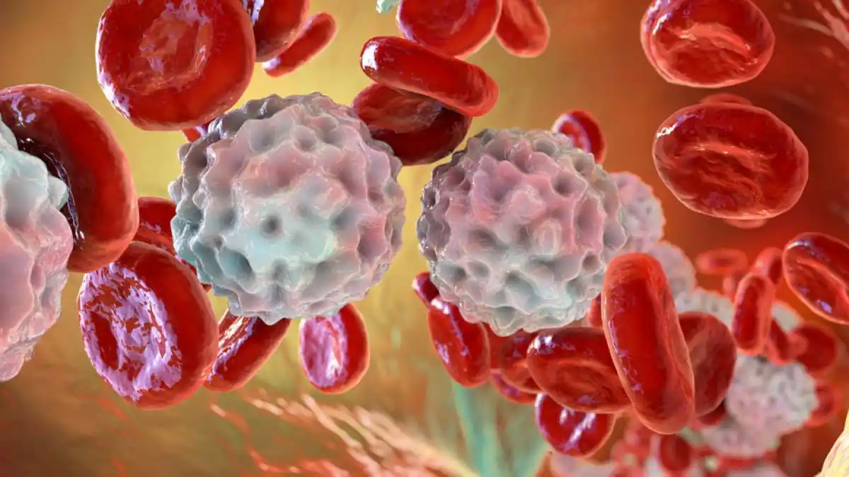 ¿Qué es la linfocitosis y por qué se genera?
