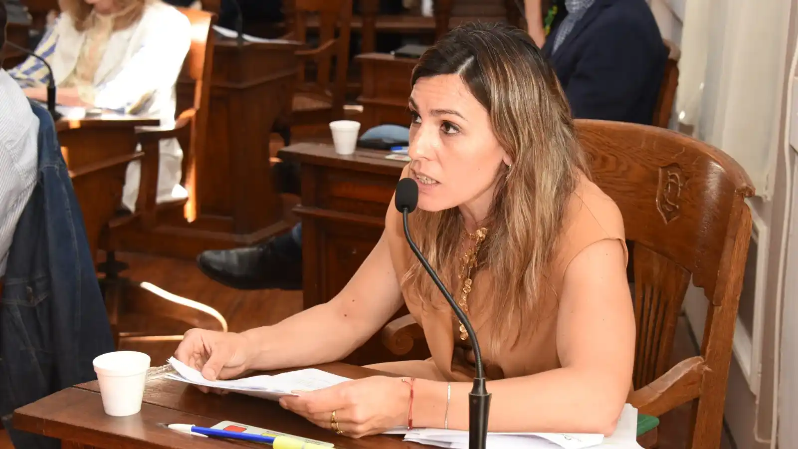 Consumo problemático y abstinencia neonatal: Domeneghini pidió precisiones sobre la situación en Tandil