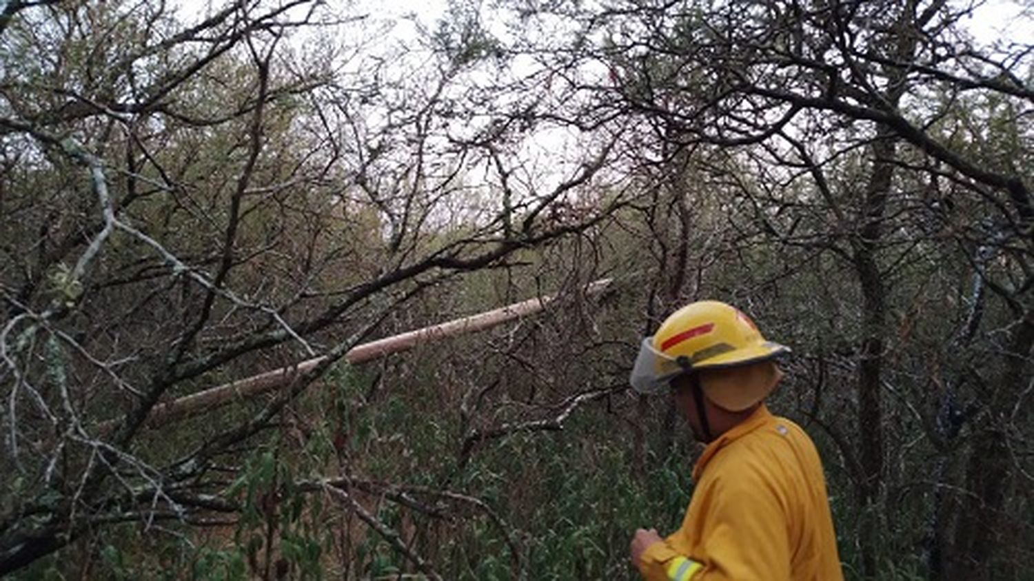 Temporal de fuertes vientos causan destrozos en una zona de Entre Ríos