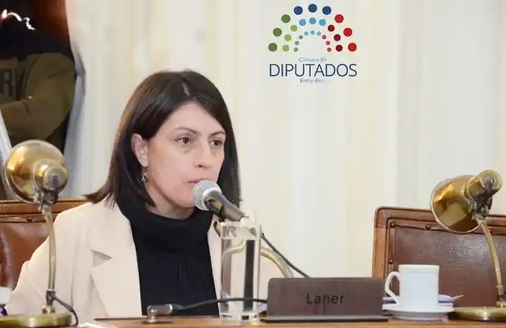 Laner defendió la reforma previsional y aseguró que busca garantizar la continuidad del 82% móvil