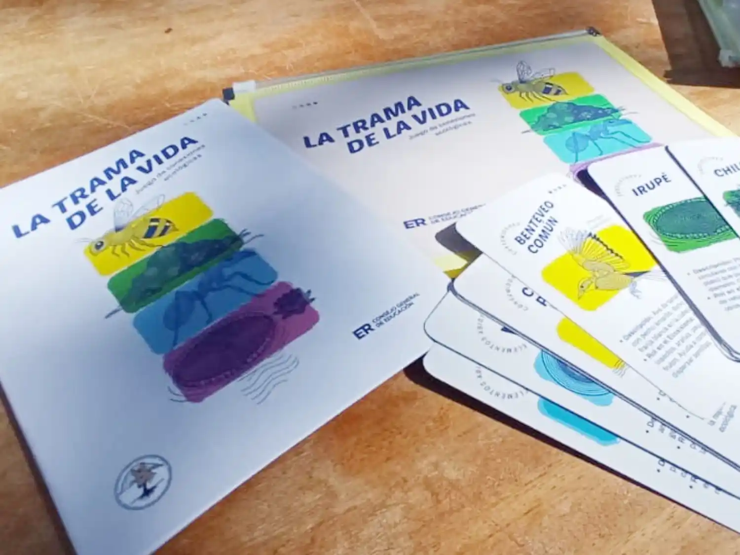 El CGE entregó materiales lúdicos sobre ambiente en escuelas entrerrianas