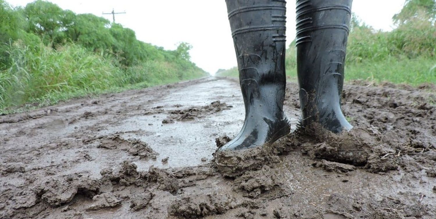 La iniciativa propone que los productores agropecuarios contribuyan con parte del gasto en la reparación y mejora de caminos rurales.