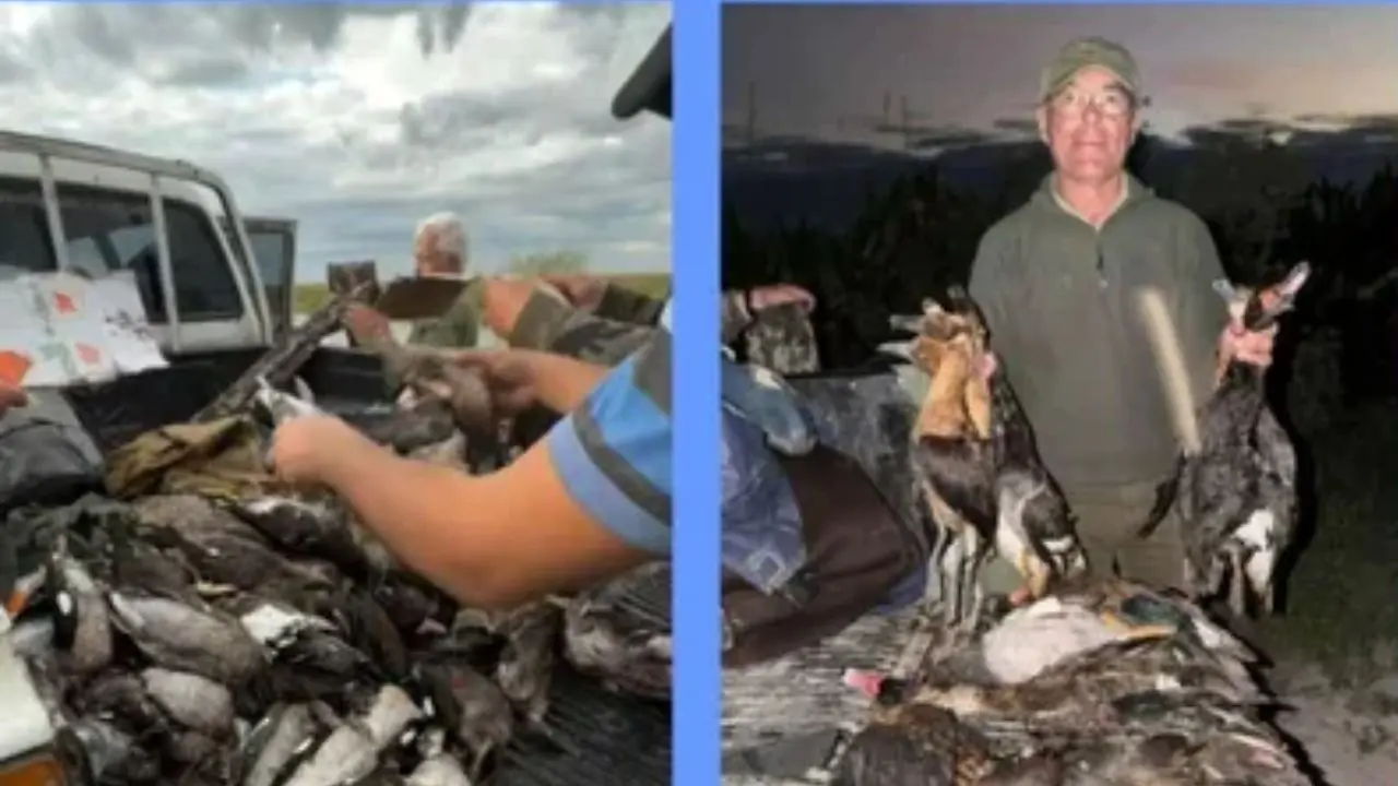 Denunciaron una masacre de fauna en el norte santafesino: cazaron más de 300 animales