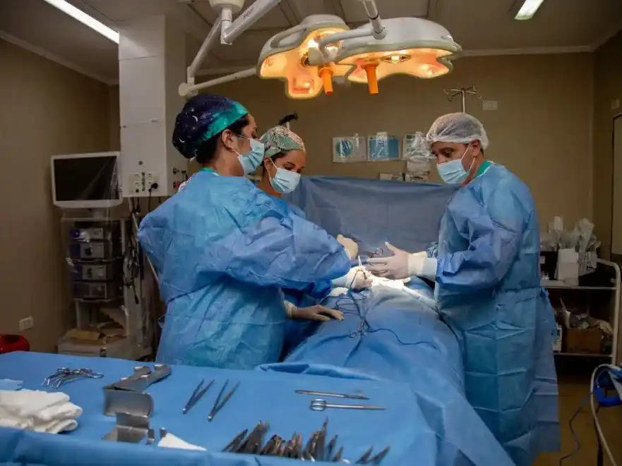 Entre Ríos supera la media nacional en donación de órganos por cantidad de habitantes