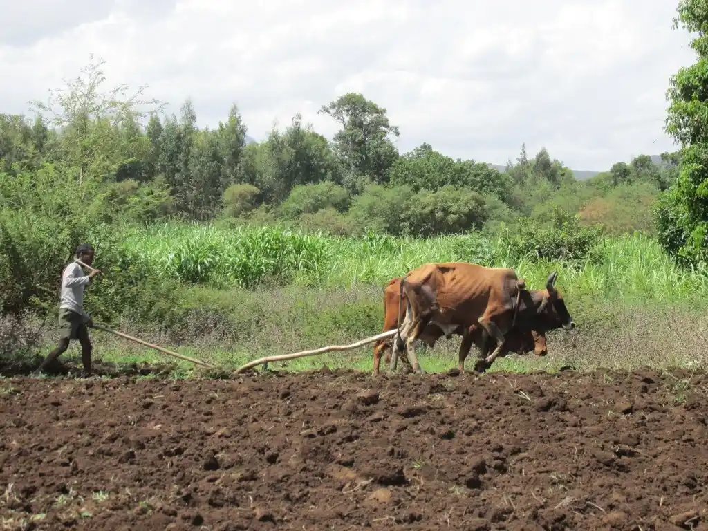 Afirman que el empleo crece más en las zonas vinculadas al campo