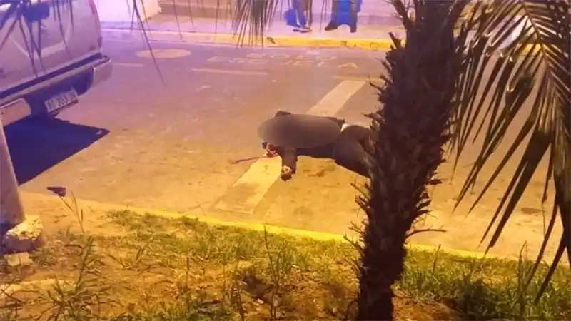 Intentaron robarle la camioneta y mató a tiros a uno de los delincuentes