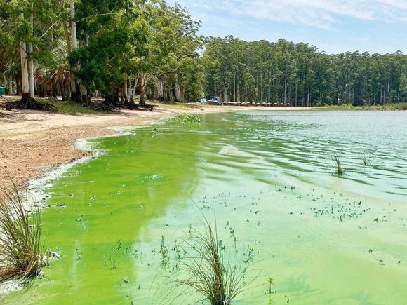 La provincia recomienda evitar el contacto con el agua con verdín