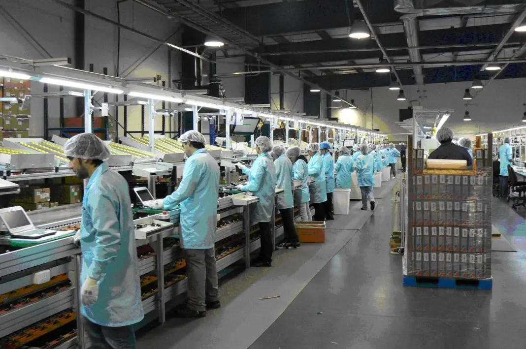 La economía argentina se derrumbó 9,9% en 2020