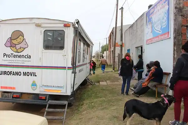 Nueva campaña de castraciones gratuitas