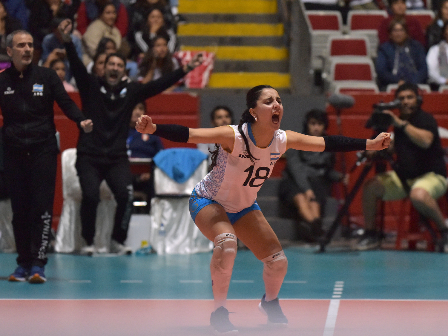 A seguir rugiendo fuerte