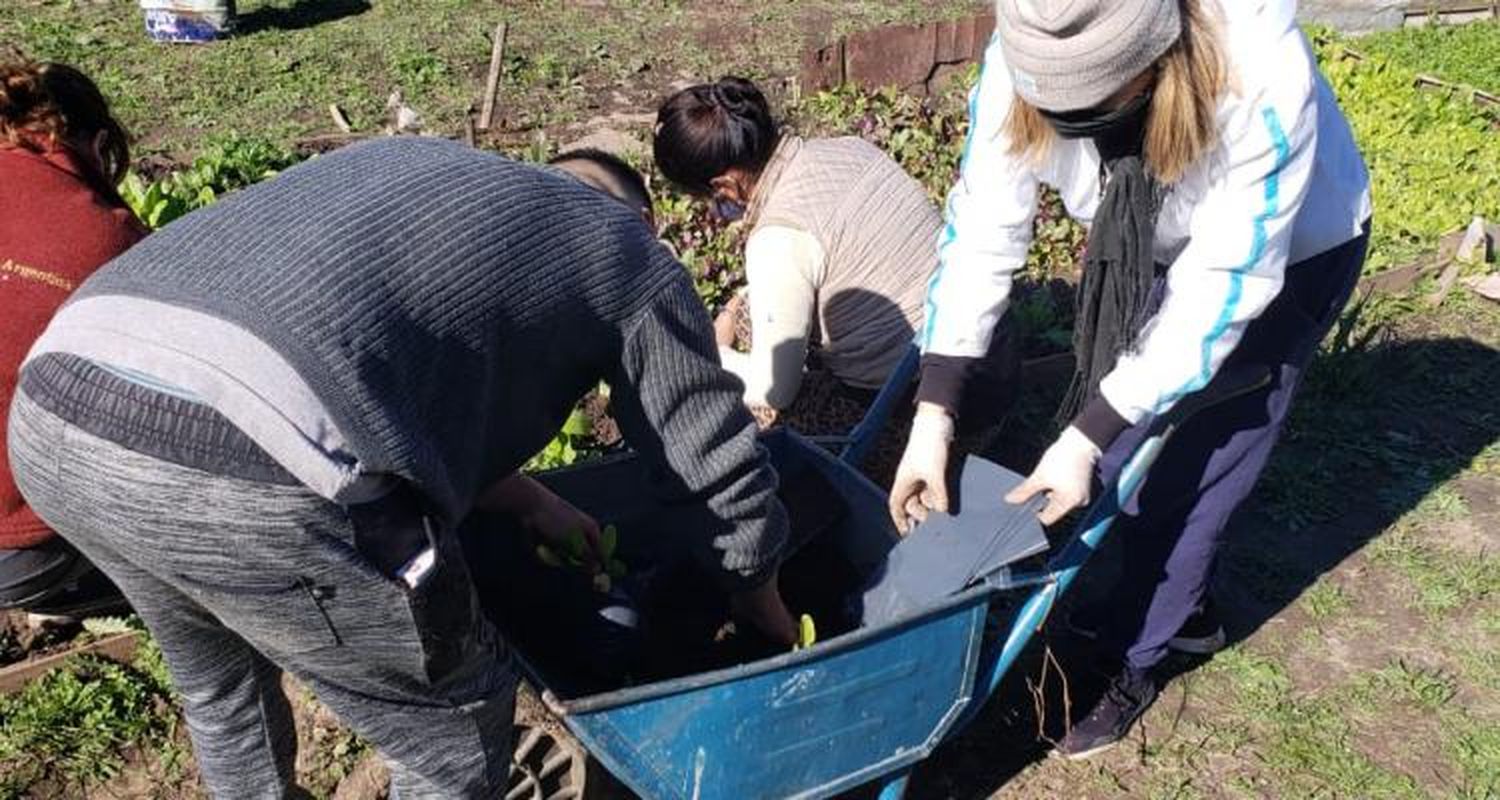 Huertas comunitarias: Una respuesta al desempleo con planes sociales