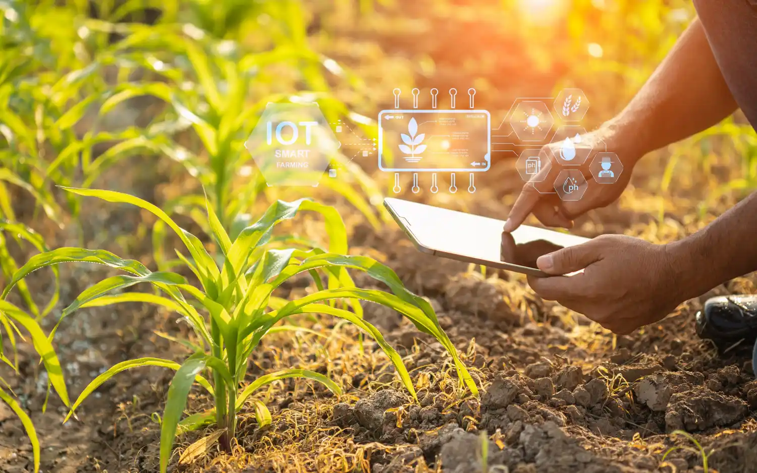 Impulsan desarrollo de ecosistema Agtech en Pergamino y Rojas