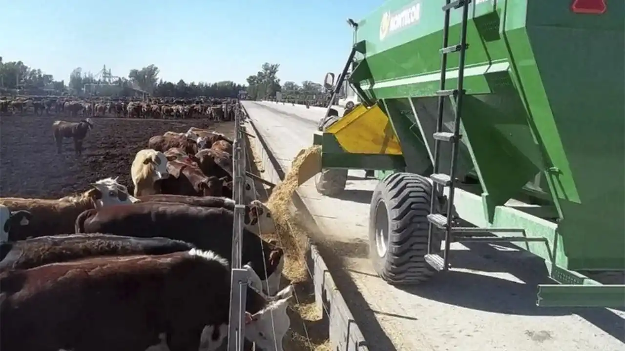 El rumen funciona como una verdadera fábrica biológica dentro del bovino