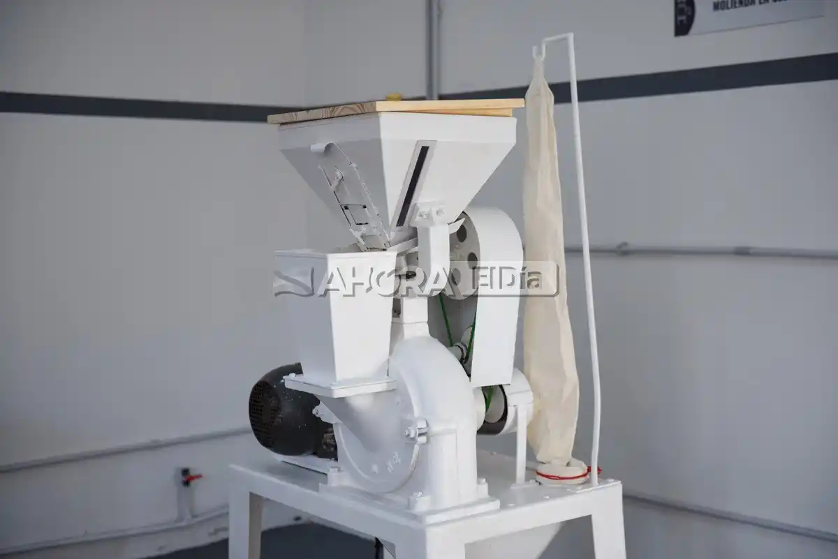 acela molino harina sin tacc - 1