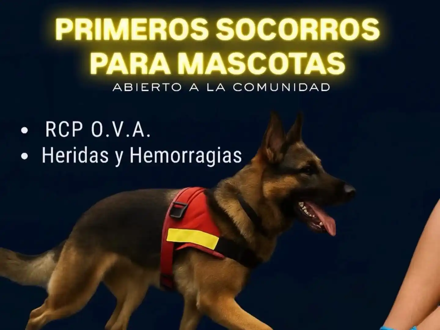Brindarán una charla abierta sobre primeros auxilios para mascotas en Bomberos Voluntarios