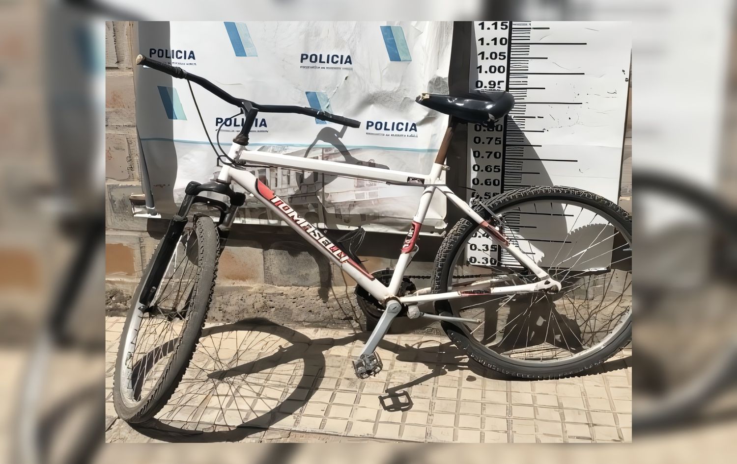 La bicicleta fue restituida a su propietario. Foto: Policía Bonaerense.