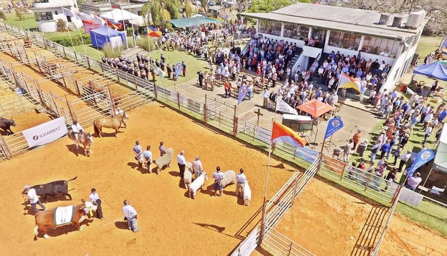 La Rural Concordia a pleno en su 127ª Exposición