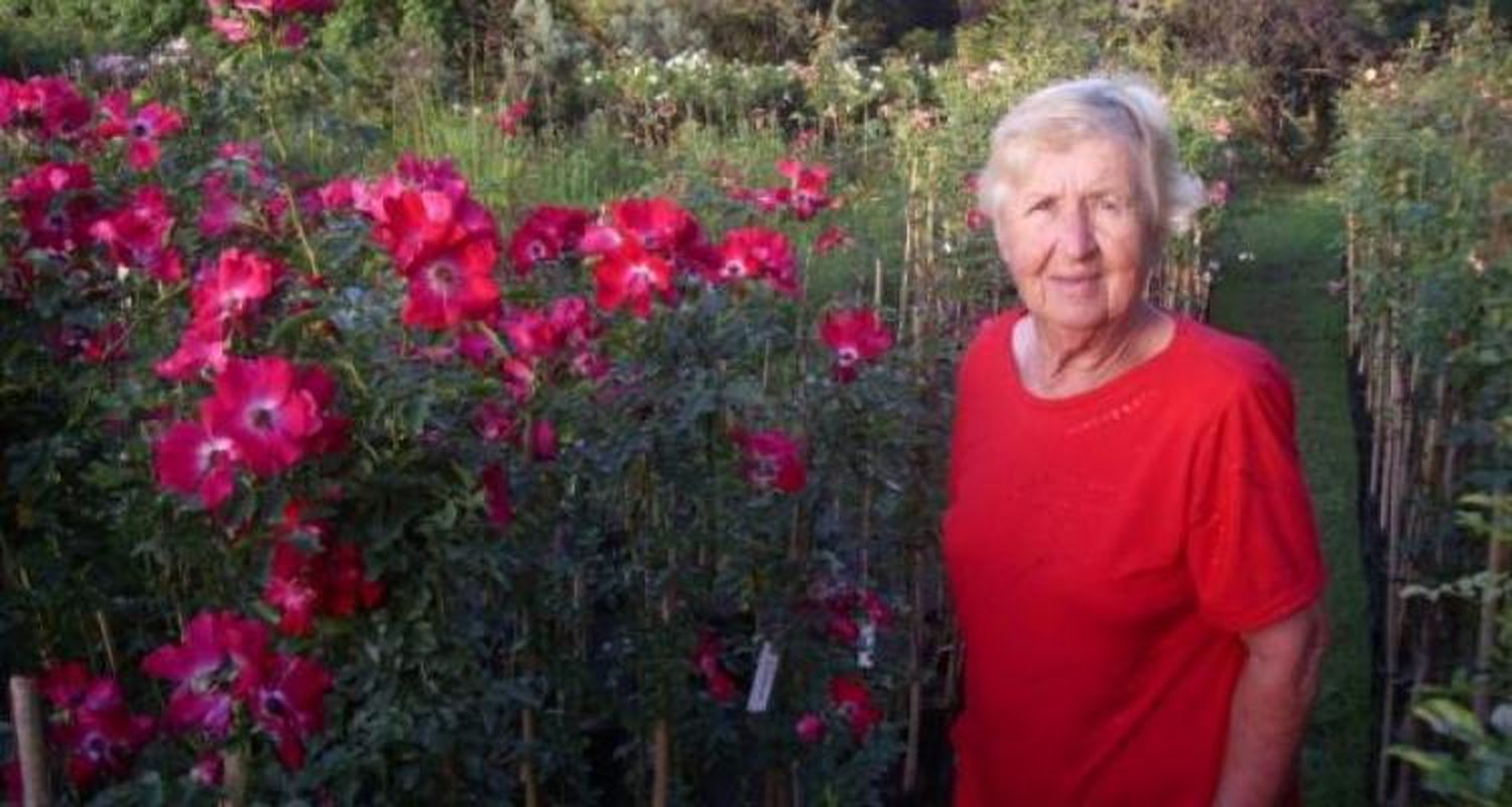 La vida en rosa