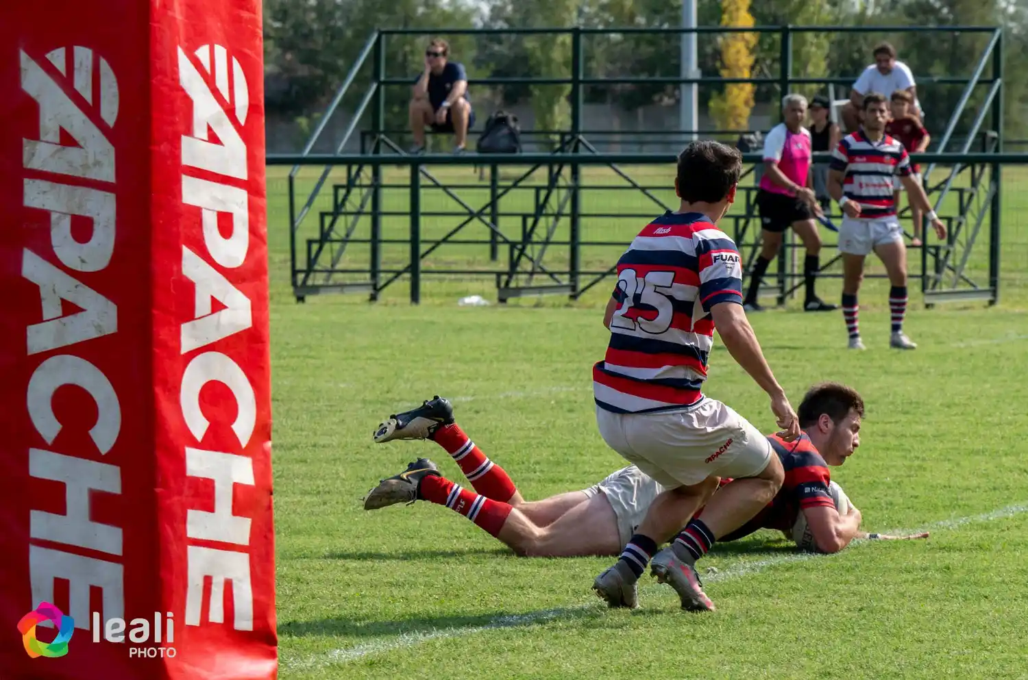 Jockey - 1