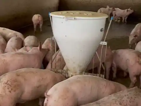 La víctima sufrió graves quemaduras.