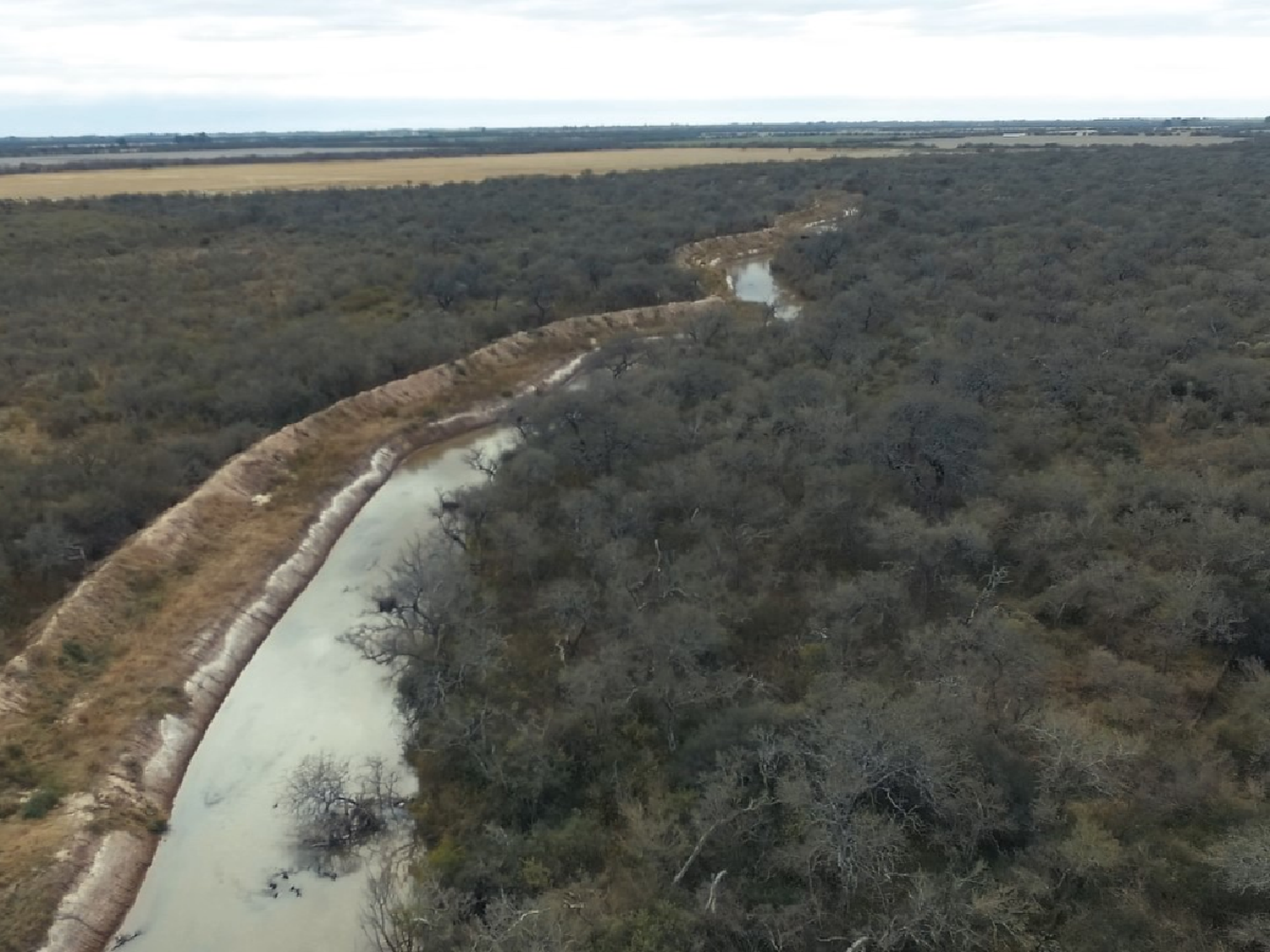 [VIDEO] “La Amazonia” de San Justo: una fuente de aire puro que debemos cuidar        