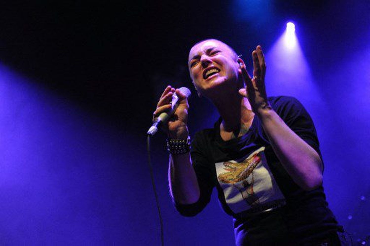 Tristeza en el mundo de la música: se apaga la voz de SINEAD O’CONNOR
