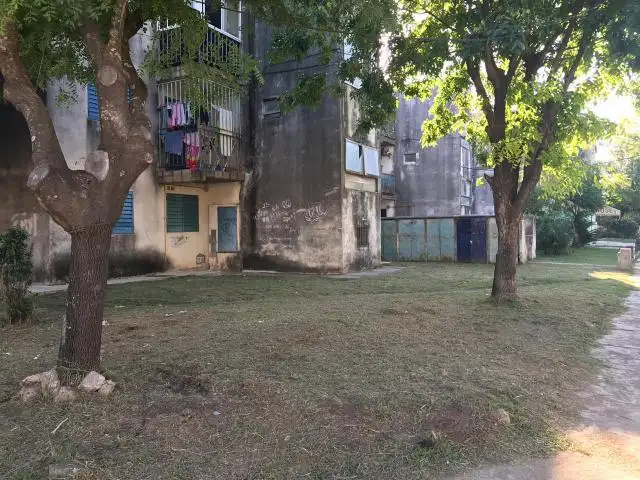 Barrio 117 Viviendas: Responsabilidades del Estado y de los vecinos  