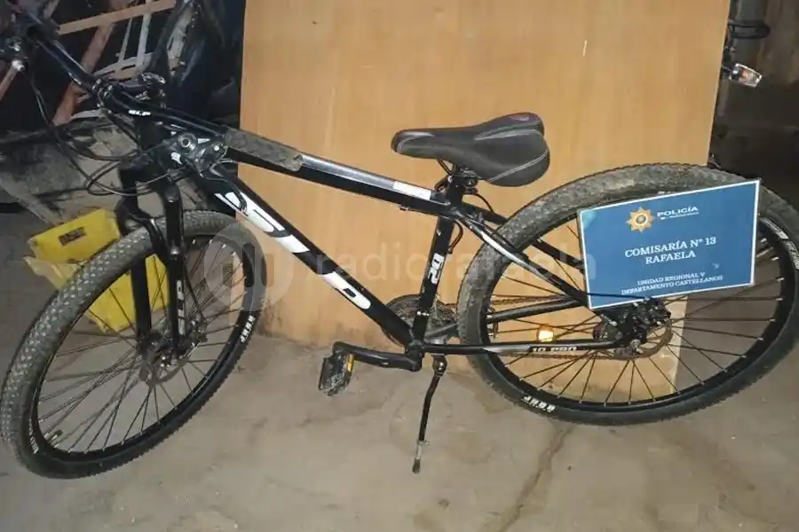 Abrió el garaje, se distrajo unos minutos y desapareció su bicicleta