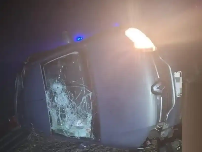 Quiso esquivar un carpincho que se apareció de repente en la ruta y terminó volcando