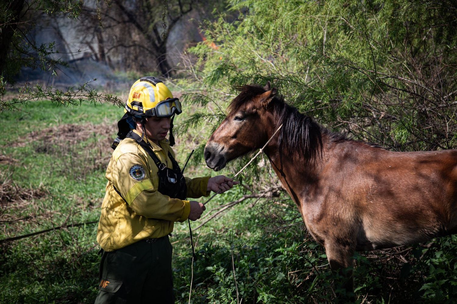 La provincia informó que los brigadistas lograron contener los incendios de las islas de Entre Ríos