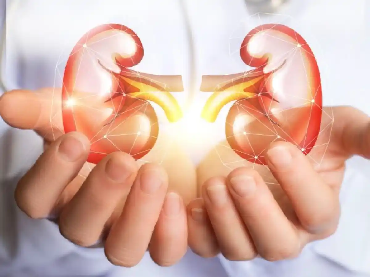  Una de cada 10 personas padece enfermedad renal crónica        