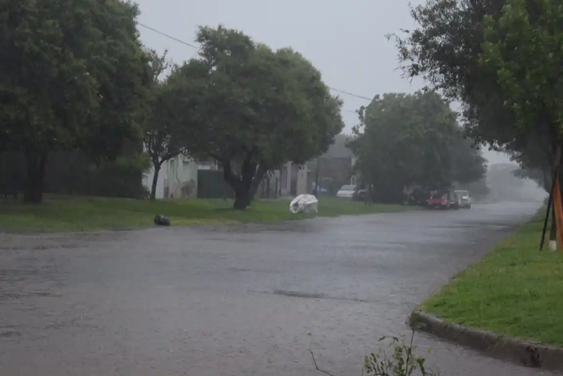 Fuerte tormenta de lluvia y viento azota la región