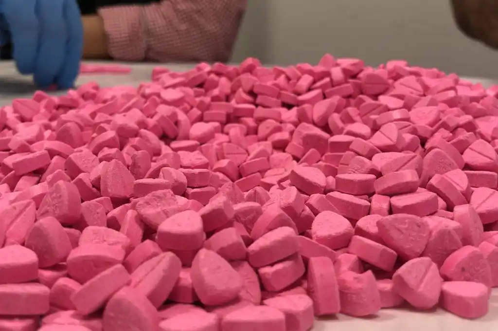 Rosario: incautaron más de 600 pastillas de éxtasis en la terminal de ómnibus