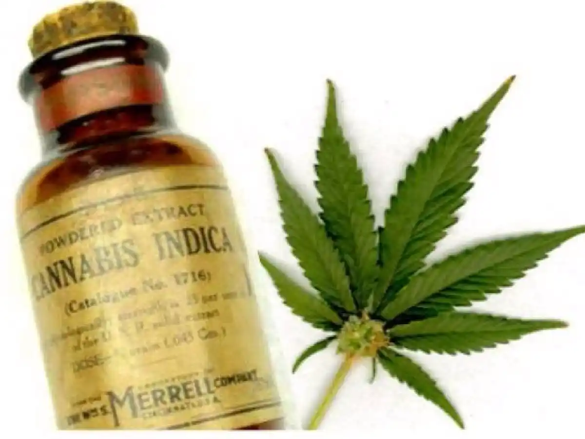 Farmacéuticos y el cannabis: “nos preocupa el uso ilegal”